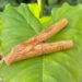 秘魯聖木鼻煙管｜巴西Rapé周邊用品｜ESPpop