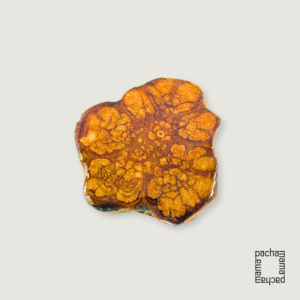 Ayahuasca 藤天然切片墜飾素材|中型 10