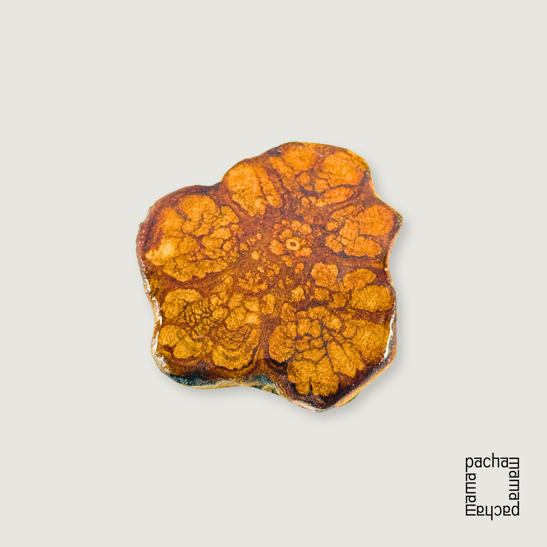 Ayahuasca 藤天然切片墜飾素材|中型 10