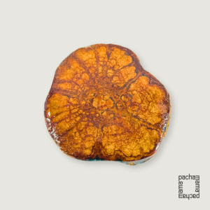 Ayahuasca 藤天然切片墜飾素材|中型 13