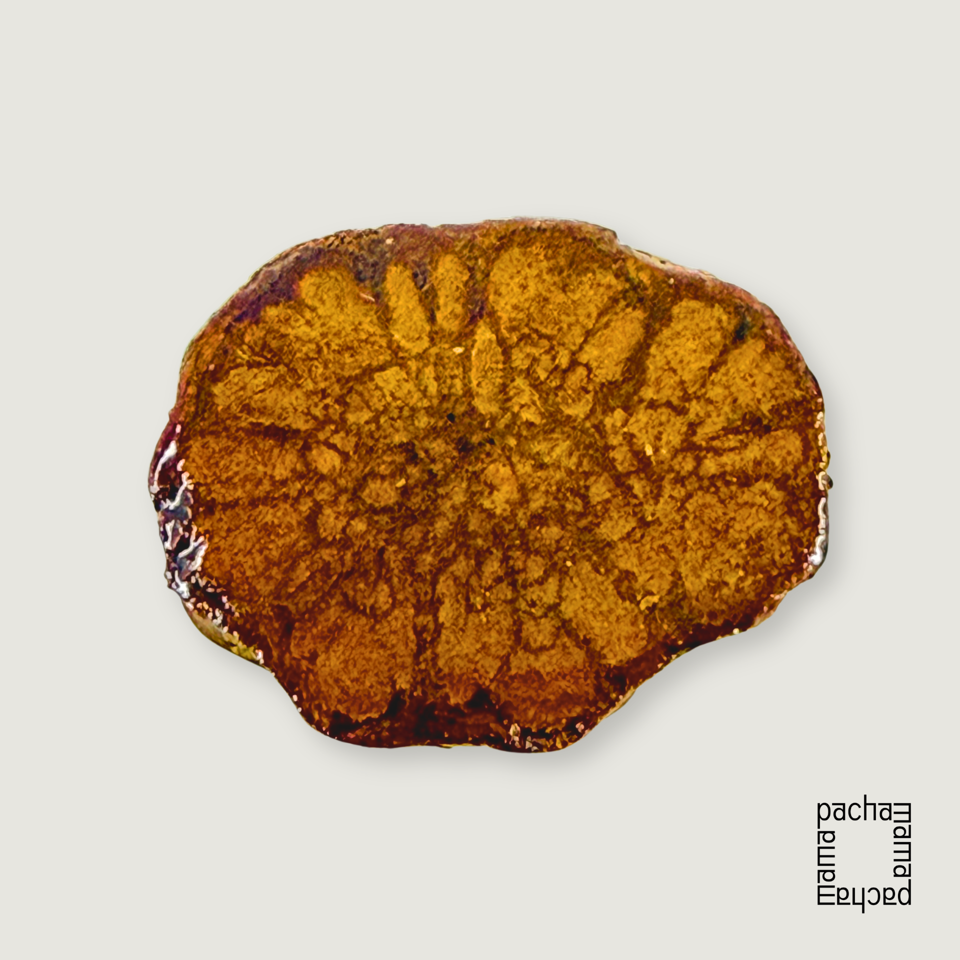 Ayahuasca 藤天然切片墜飾素材|中型 15