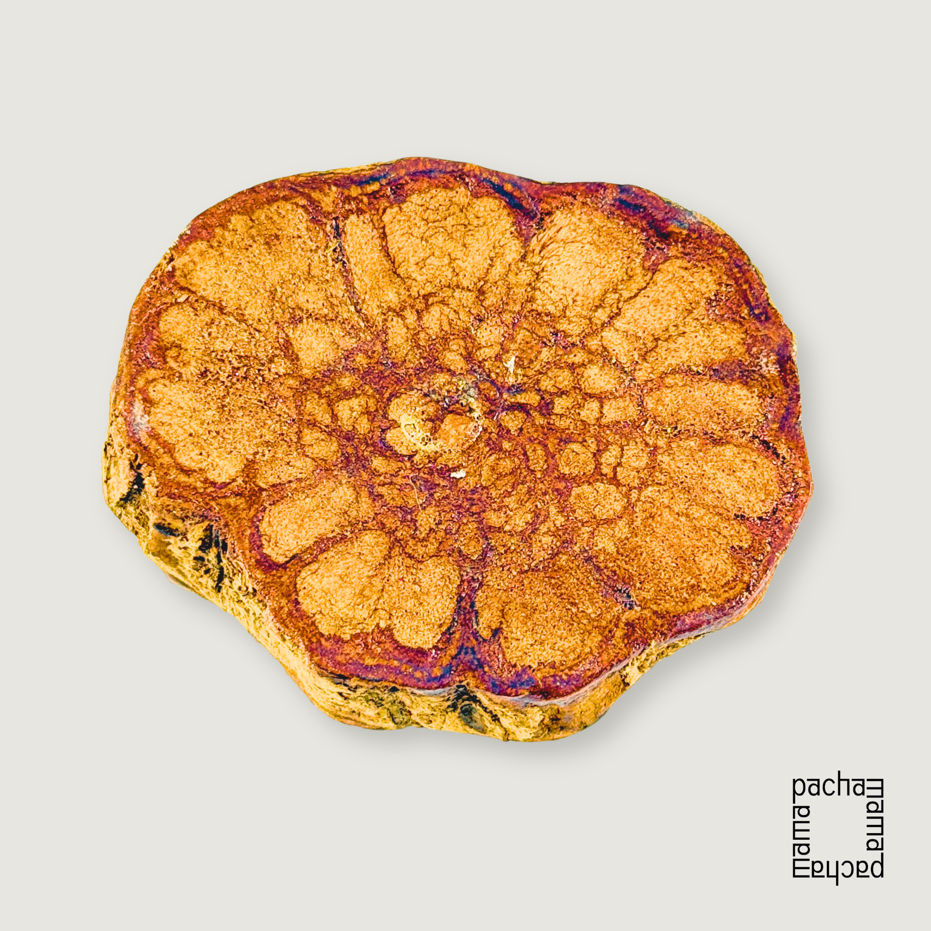 Ayahuasca 藤天然切片墜飾素材|中型 15:圖片 2