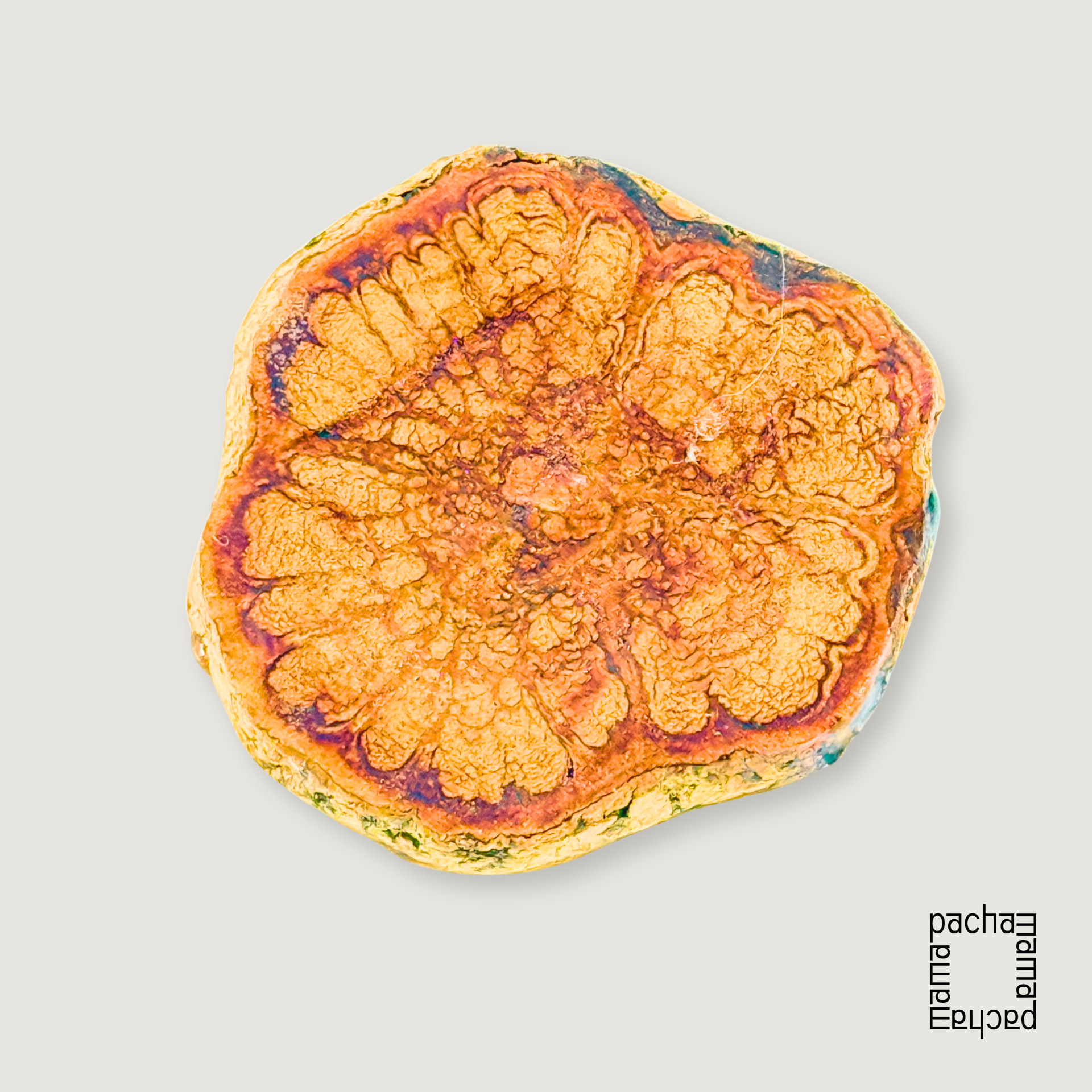 Ayahuasca 藤天然切片墜飾素材|中型 16:圖片 2
