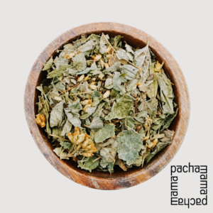 墨西哥夢境草 Calea Zacatechichi 草本植物商品