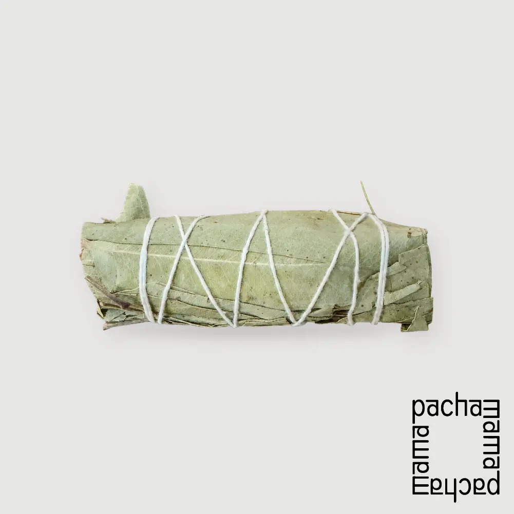 尤加利葉 5寸薰香杖|北美洲淨化薰香用品|ESPpop