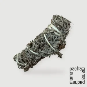 連結祖先的力量-南非聖草Imphepho｜薰香淨化用品｜ESPpop